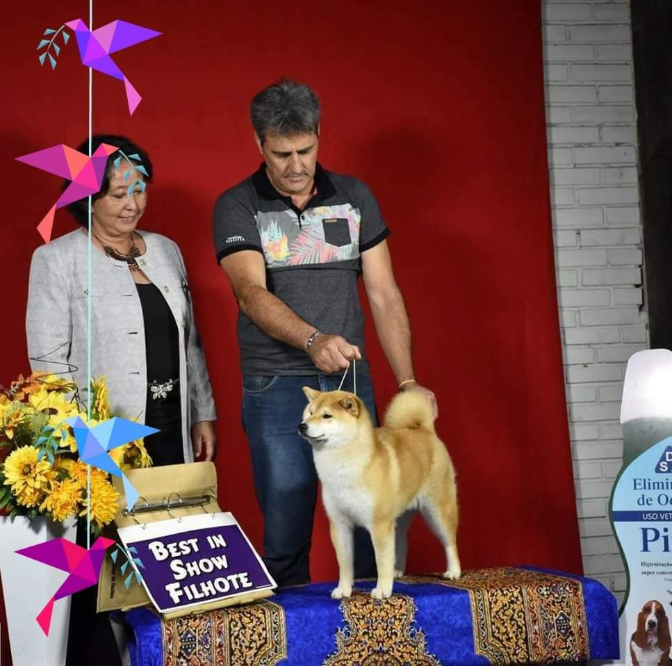 Russkaya en premiación